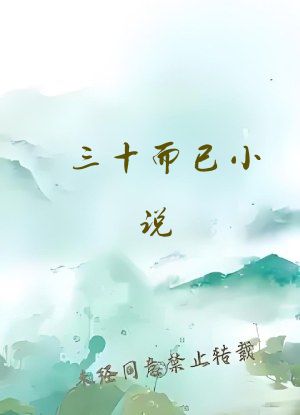 三十而已小说