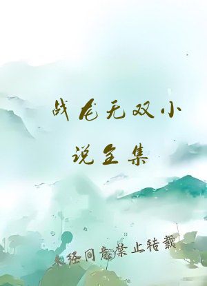 战龙无双小说全集