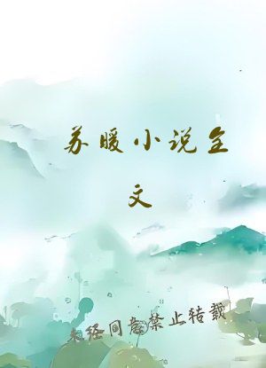 苏暖小说全文