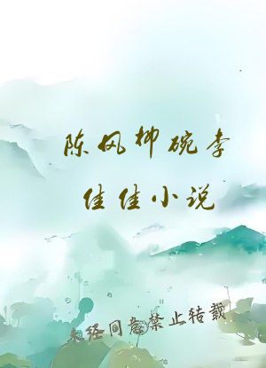 陈风柳碗李佳佳小说